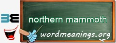 WordMeaning blackboard for northern mammoth